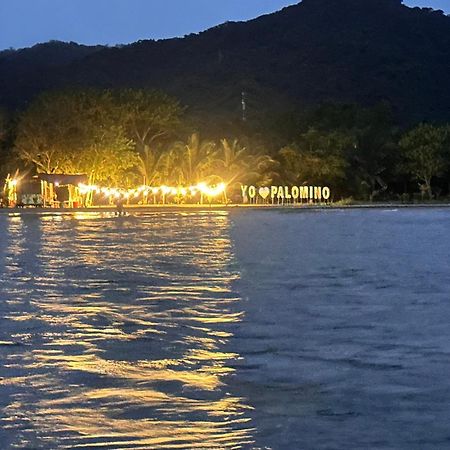 Donama River パロミノ エクステリア 写真