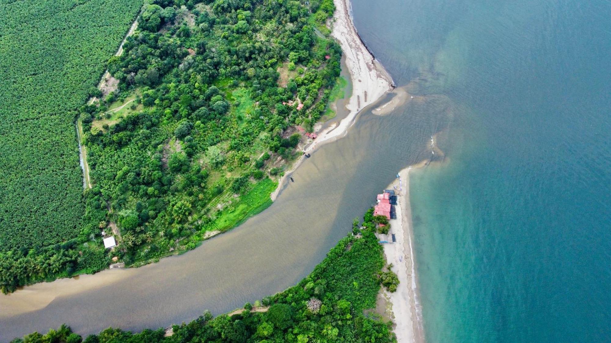 Donama River パロミノ エクステリア 写真